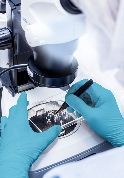 Medical products under microscope