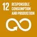 SDG12 icon