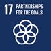 SDG17 icon